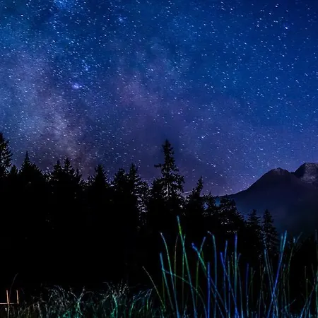 Morale * Ζέεφελντ